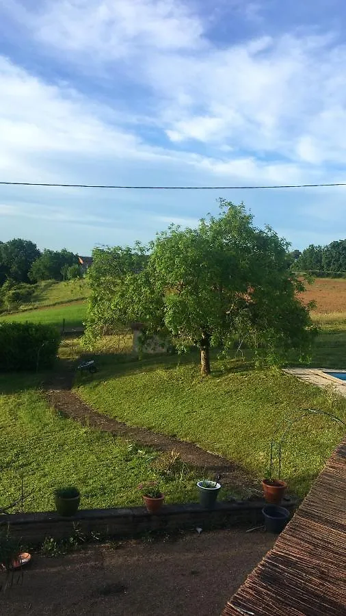 Appartement De 2 Chambres Avec Vue Sur La Ville Piscine Partagee Et Jardin Clos A Gaillac 0*,