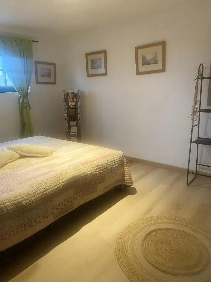 Appartement De 2 Chambres Avec Vue Sur La Ville Piscine Partagee Et Jardin Clos A Gaillac